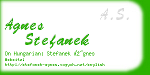 agnes stefanek business card